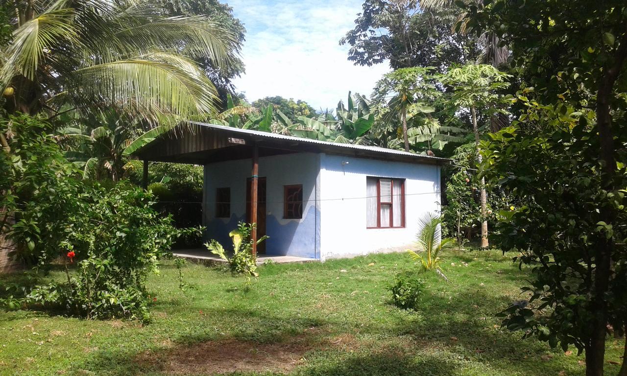 Rosa'S Lake Cabins Merida Bagian luar foto